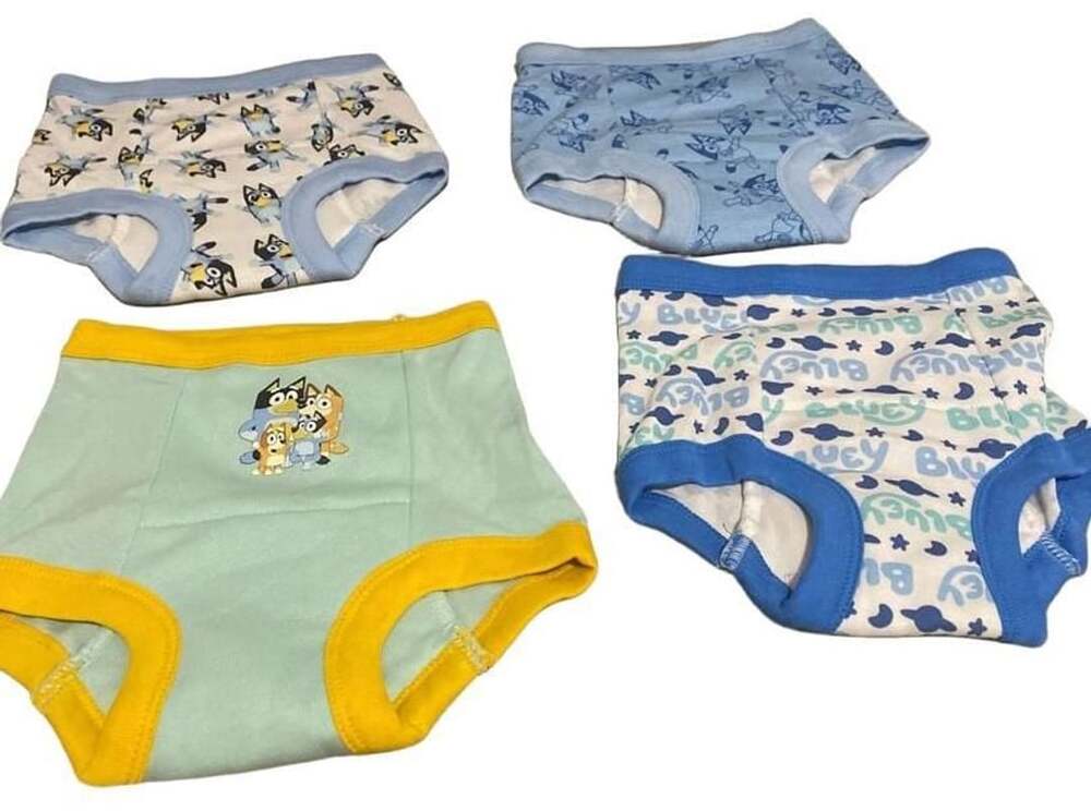 Bluey Toddler Potty Training Underwear Briefs Multi-Pack/ 3T - New